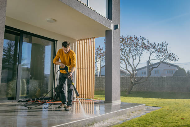 Best Graffiti Removal  in Newport, OH